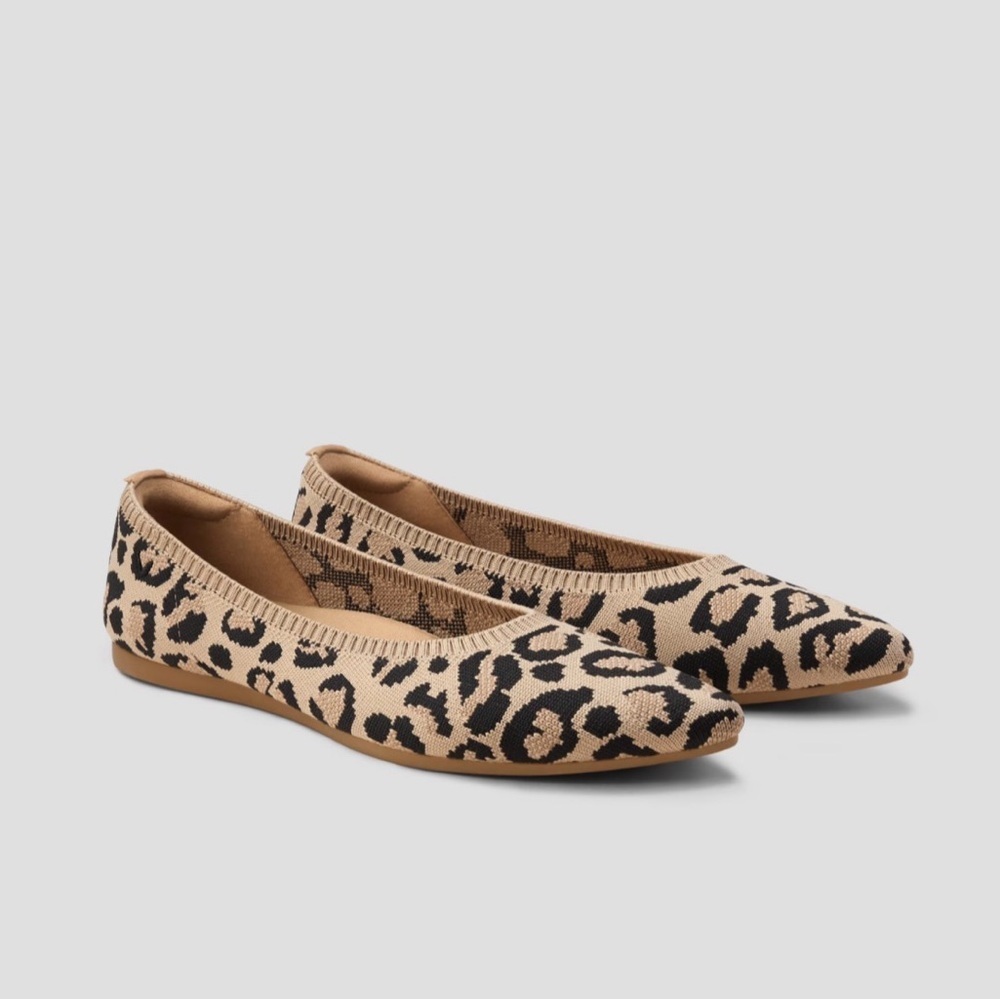 Vivaia Pointed-Toe Ballet Flats (Aria 5°) Size 10